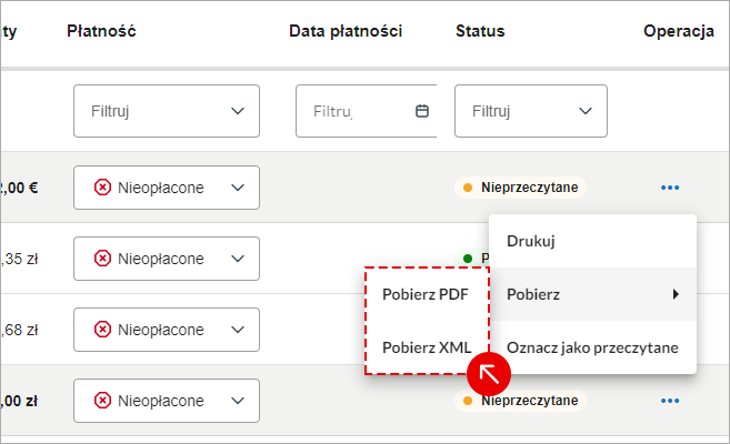 Ekran z tabelą faktur otrzymanych